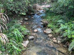 -增城大丰门漂流