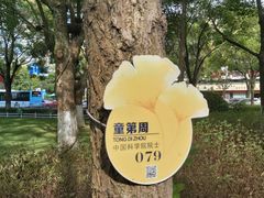 -月湖公园