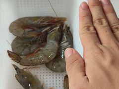 -牛吉韵·鲜切牛肉自助火锅(南山店)