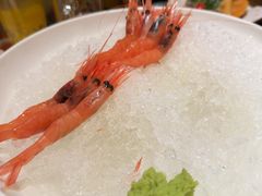 -月龍吟(朝龙汇店)