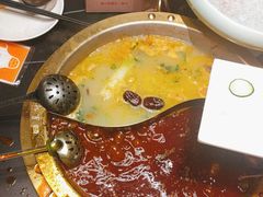-蜀九香火锅(彩虹店)