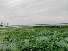-阳澄湖半岛旅游度假区