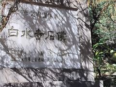 -白水寺森林公园