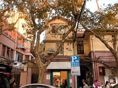 -茶是一枝花泡茶店