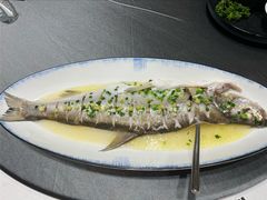 清蒸白鱼-香雪海饭店中餐厅(人民桥店)