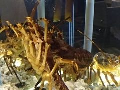 -璞御·海鲜·雪花牛肉局(宾水西道店)