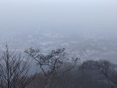 -紫金山山顶公园