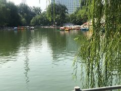 -莲湖公园