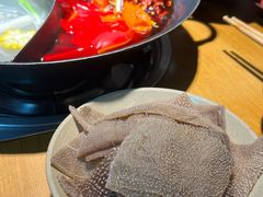 -阳阳老火锅(小南门店)