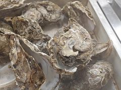 -福禧荟·海鲜自助