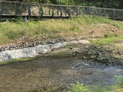 -白水寺森林公园