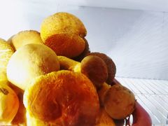 -双喜农庄·菌香园(安居家园店)