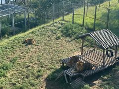 -青藏高原野生动物园