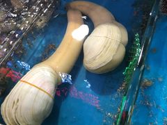 -清水湾3号(东方小周海鲜店)