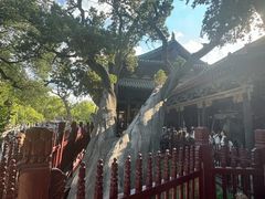 -晋祠公园