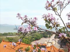 -南沙天后宫景区