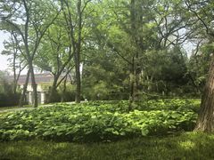 -玲珑塔公园