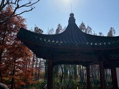 -江心屿景区