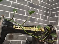 -老东北大铁锅·烧烤·东北菜