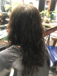 -T.1 hair salon烫染接发