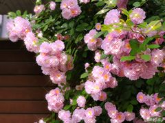 -颐和路民国时期公馆风貌区