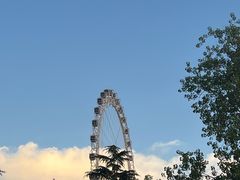 -日照海滨国家森林公园