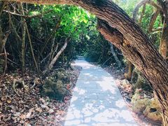 -鹅銮鼻公园