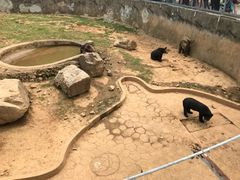 -无锡动物园·太湖欢乐园
