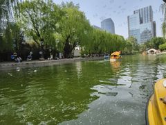 -团结湖公园