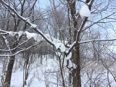 -雪谷