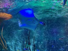 -沈阳海洋探索中心