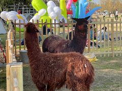 -祥源·阜阳生态乐园