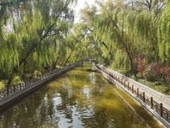 -迎泽公园