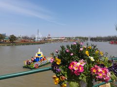 -荷兰花海