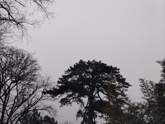 -香山公园