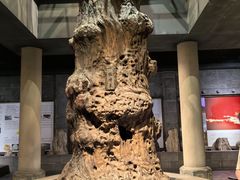 -乐山乌木文化博览苑