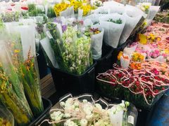 -循礼门鲜花花市(武汉循礼门店)