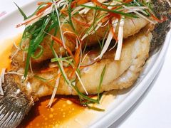-花城苑广府菜(侨鑫店)
