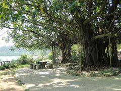 DSC08338-湖光岩风景区