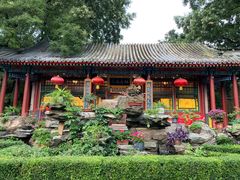 -白家大院·王府宫廷菜(苏州街店)