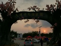 -天适樱花悠乐园