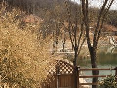 -大连北马山庄
