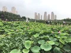 -前关湿地公园
