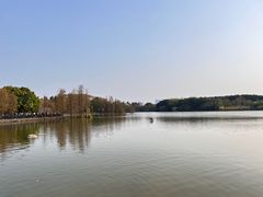 -海珠湖公园
