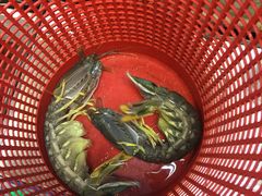 -ZF Seafood Restaurant 卓峰海鲜餐