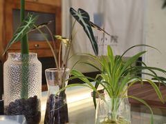 -绿小院(荔湾店)