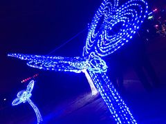 -长春公园(普阳街道)