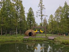 -黄海国家森林公园