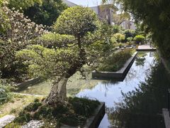 -水月周庄铂尔曼酒店-水月荟中餐厅