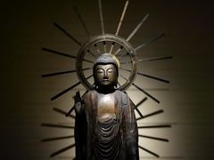 -上海观复博物馆